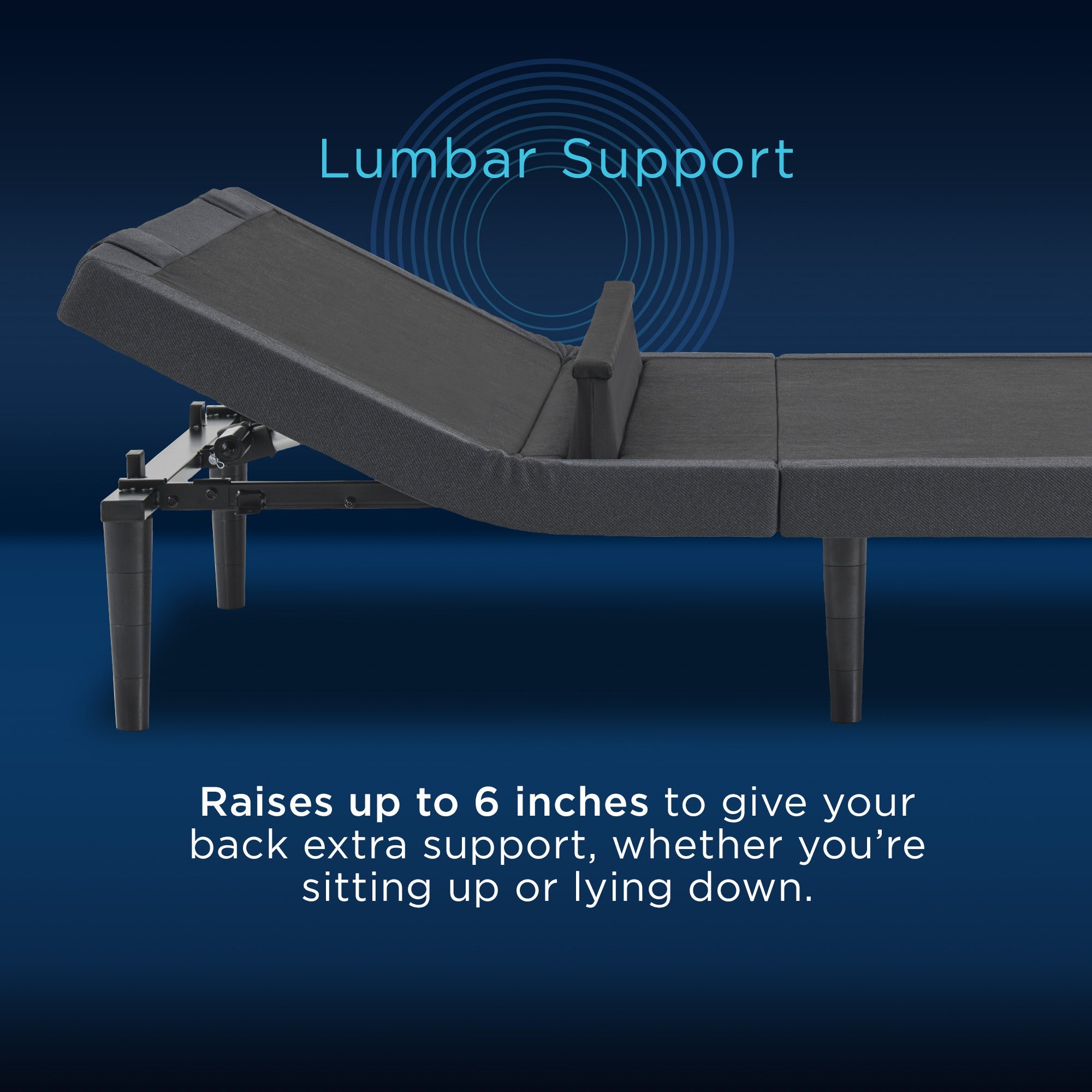 Ergo Smart Base, Multiple Options