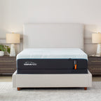 ProAdapt Firm Mattress, Memory Foam