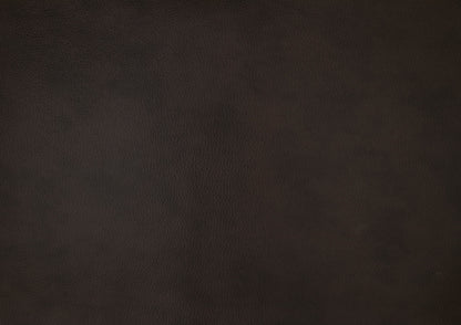 Austin Reclining Leather Living Room Collection