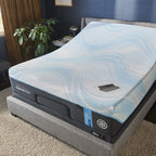 Ergo Power Base, Multiple Options