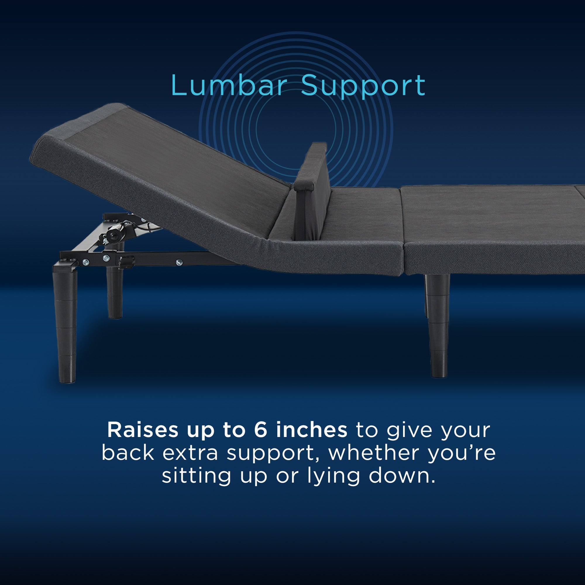 Ergo Power Base, Multiple Options