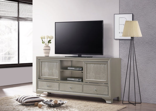 Lyssa 67 TV Stand