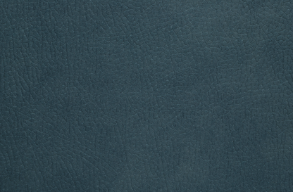 Ferriday Sofa Sleeper Sectional with Storage